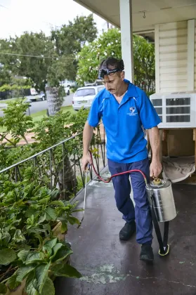 Pest Control Pymble Commercial Pest Control treatment at a Pymble business premises — Sydney Pesties