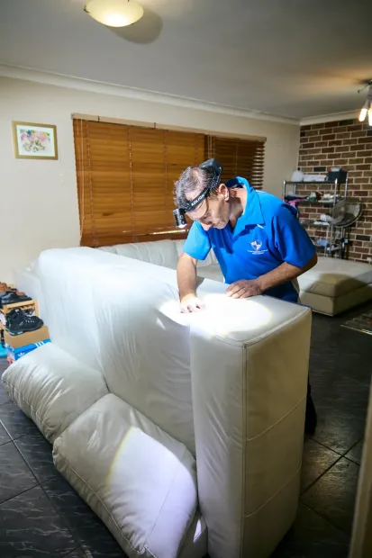 Pest Control Sydney Bed bug control Bondi