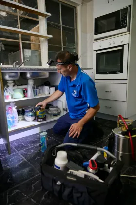 Spider Control Campbelltown Eco-friendly spiders control methods used across Campbelltown — Sydney Pesties
