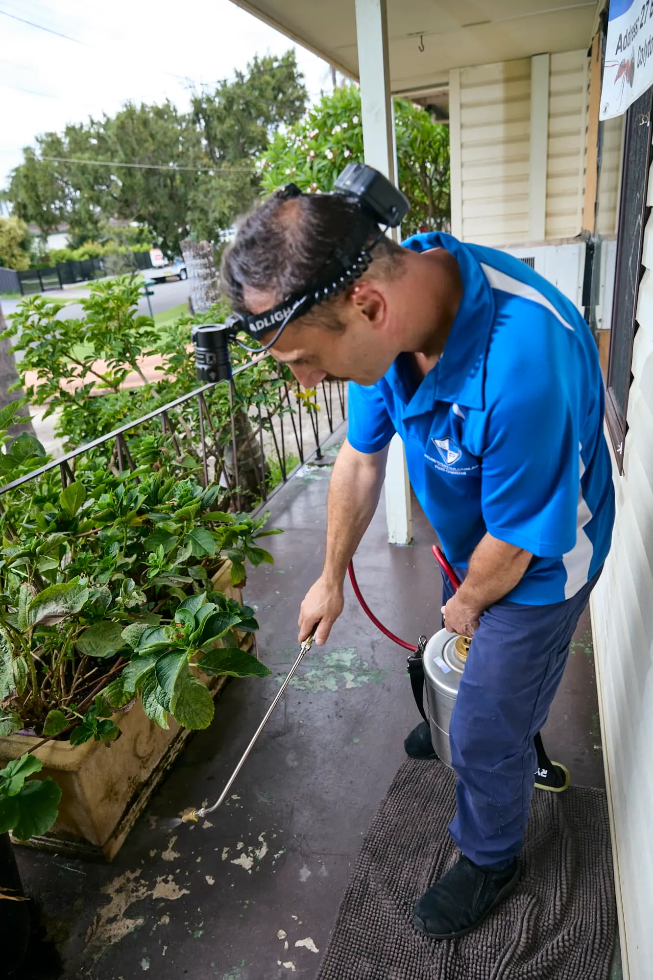 Commercial Pest Control Northmead Before and after commercial pest risks control results in Northmead Sydney — Sydney Pesties