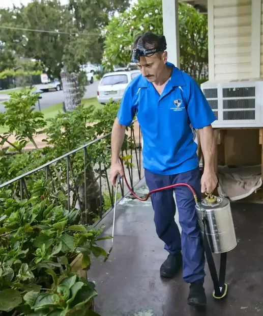 مكافحة الآفات في سيدني pest control Waverton