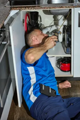 Pest Control How Pest Inspections Work Before and after pest infestations control results in How Pest Inspections Work Sydney — Sydney Pesties